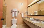 In-room Bathroom 7 Holiday Inn Express VANCOUVER NORTH - SALMON CREEK, an IHG Hotel