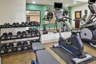 Fitness Center Holiday Inn Express & Suites NILES, an IHG Hotel