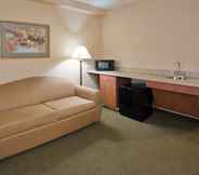 พื้นที่สาธารณะ 3 Holiday Inn Express & Suites DRUMS-HAZLETON (I-80), an IHG Hotel