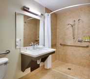 In-room Bathroom 5 Candlewood Suites DALLAS PLANO EAST RICHARDSON