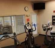 Fitness Center 3 Holiday Inn Express & Suites CHICAGO-ALGONQUIN, an IHG Hotel