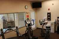 Fitness Center Holiday Inn Express & Suites CHICAGO-ALGONQUIN, an IHG Hotel