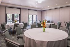 多功能廳 Holiday Inn & Suites DALLAS-ADDISON by IHG, an IHG Hotel