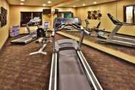 ห้องออกกำลังกาย Holiday Inn Express & Suites DUBUQUE-WEST, an IHG Hotel