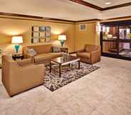 ล็อบบี้ 4 Holiday Inn Express & Suites DUBUQUE-WEST, an IHG Hotel