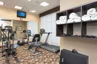 ห้องออกกำลังกาย Holiday Inn AURORA NORTH- NAPERVILLE, an IHG Hotel