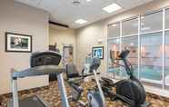 Fitness Center 3 Holiday Inn AURORA NORTH- NAPERVILLE, an IHG Hotel