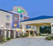 Exterior 2 Holiday Inn Express PALESTINE, an IHG Hotel