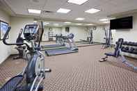 Fitness Center Holiday Inn Express & Suites DEMING MIMBRES VALLEY, an IHG Hotel