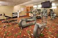 ห้องออกกำลังกาย Holiday Inn AUSTIN CONFERENCE CENTER, an IHG Hotel