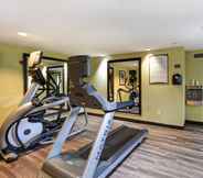 Fitness Center 3 Staybridge Suites GRAND RAPIDS - AIRPORT, an IHG Hotel