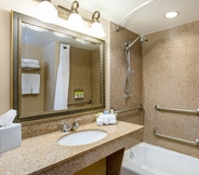 Bilik Mandi dalam Bilik 5 Holiday Inn Express & Suites BRADENTON EAST-LAKEWOOD RANCH, an IHG Hotel