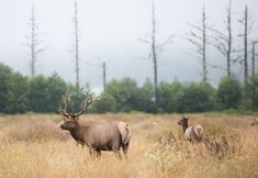 Fitness Center 2 Holiday Inn Express & Suites CHENEY by IHG, an IHG Hotel