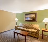 Ruang Umum 6 Holiday Inn Express & Suites BRADENTON EAST-LAKEWOOD RANCH, an IHG Hotel