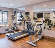 Fitness Center 7 Staybridge Suites INDIANAPOLIS-FISHERS, an IHG Hotel