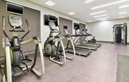 Fitness Center 7 Holiday Inn & Suites TOLEDO SOUTHWEST - PERRYSBURG, an IHG Hotel