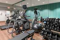 Fitness Center Holiday Inn Express & Suites DALLAS SOUTH - DESOTO, an IHG Hotel