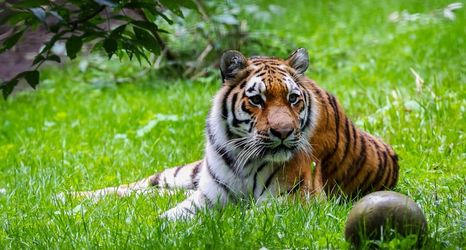 其他 2 Holiday Inn Express FOLKESTONE - CHANNEL TUNNEL by IHG, an IHG Hotel