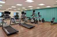 Fitness Center Holiday Inn Express & Suites OTTAWA, an IHG Hotel