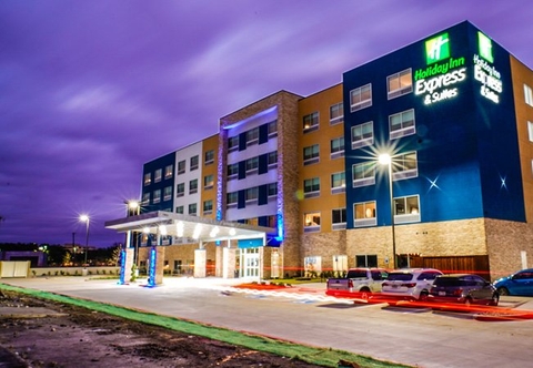 Luar Bangunan Holiday Inn Express & Suites DALLAS MARKET CTR - LOVE FIELD, an IHG Hotel