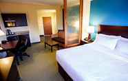 Others 5 Holiday Inn Express & Suites HARRISBURG W - MECHANICSBURG, an IHG Hotel