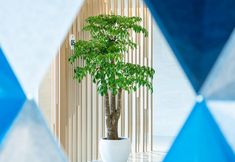 Others 3 Holiday Inn Express YANGJIANG CITY CENTER by IHG, an IHG Hotel