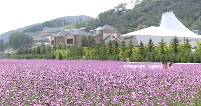 Khu vực công cộng InterContinental Hotels ALPENSIA PYEONGCHANG RESORT, an IHG Hotel