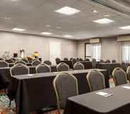 Others 3 Holiday Inn & Suites COUNCIL BLUFFS-I-29, an IHG Hotel