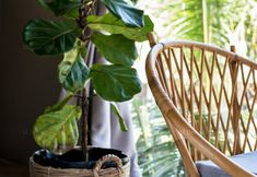 기타 7 M Resort Phu Quoc