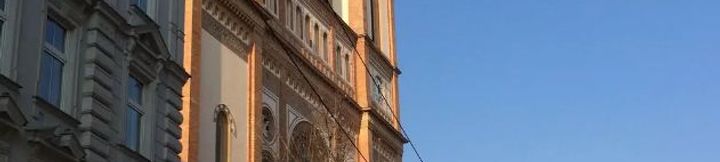 Others 4 Sunshine and Charity