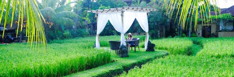 기타 Bebek Tepi Sawah Ubud