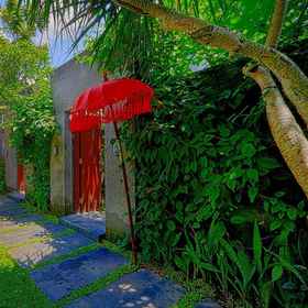 Villa Savvoya 1, Hotel Soori Dog Grooming