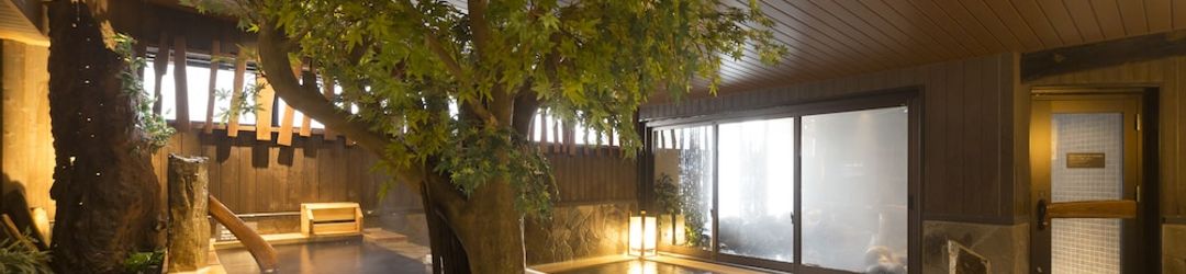 Lainnya Tsuruginoyado Domy Inn Toyama