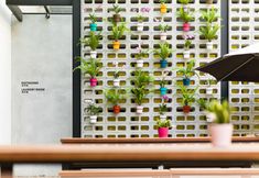 其他 4 Tune Hotel KLIA2