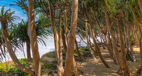 Lainnya 2 Baba Beach Club Natai Managed by Sri panwa