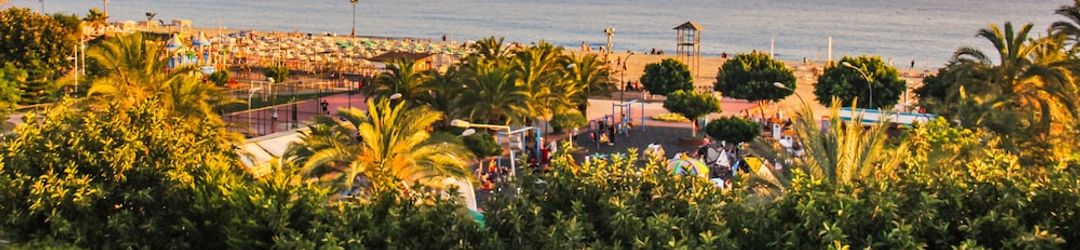 Lain-lain Kleopatra Aysev