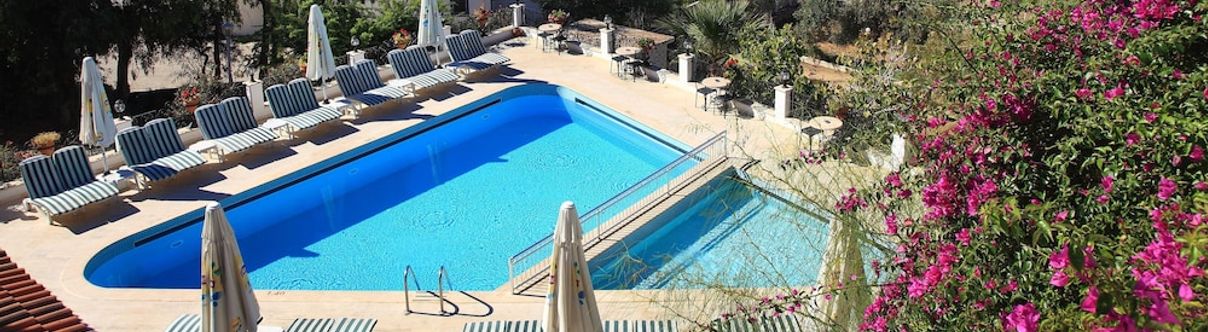 Others Cactus Comca Manzara Charme