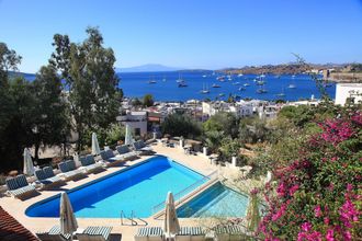 其他 Cactus Comca Manzara Charme