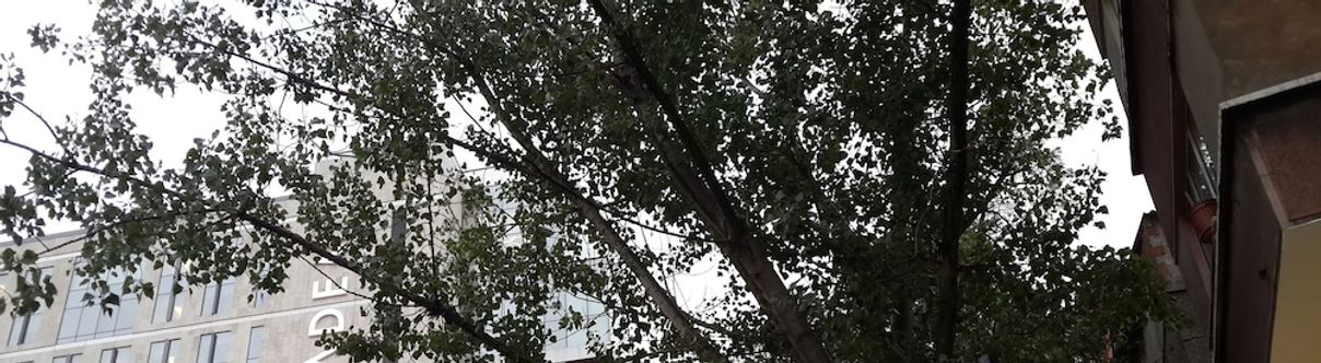 Lain-lain Almond Hill Aparts