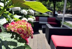 Lain-lain 2 Golden Tulip Berlin Hotel Hamburg