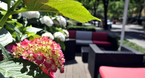 Lain-lain 2 Golden Tulip Berlin Hotel Hamburg