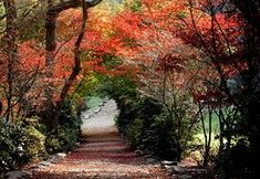 อื่นๆ 6 Lindenderry At Red Hill