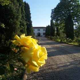 Villa Del Roseto 1, Hotel Greve in Chianti