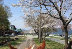 Others 4 Waku-Waku Farm Maemori Kougen