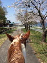 Others 4 Waku-Waku Farm Maemori Kougen