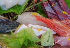 Others 3 Fujinoya Business Hot Spring Ryokan