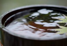 Others 5 Shidodaira Onsen Yusen Shidate