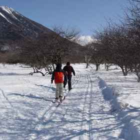 Nikko Astoria Hotel 1, Hotel Seven-Eleven Sano Izuruhara
