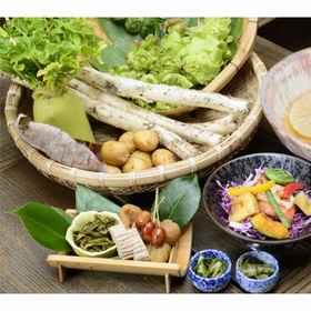 Yariminoyu Yarimikan 1, Hotel Takayama-shi