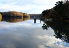 Others 4 Hotel My Room Tagajjo